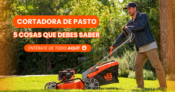 Imagen principal del post: 5 cosas a saber antes de comprar una cortadora de pasto