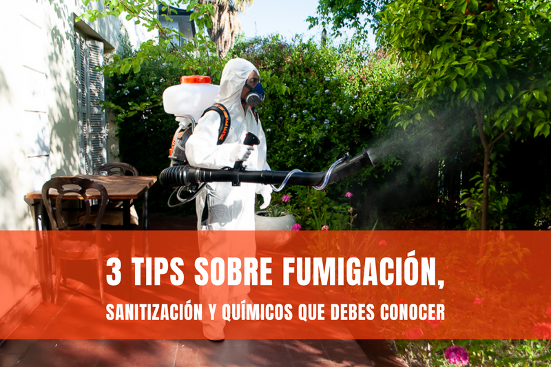 3 Tips sobre fumigación, sanitización y químicos