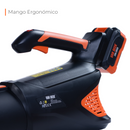 Sopladora Eléctrica van Beek vBBL20v