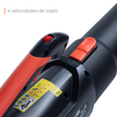 Sopladora Eléctrica van Beek vBBL20v