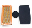 Filtro de Aire para Sopladora de Mochila van Beek vB-650A-E