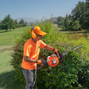 Jardinero en Santiago de Chile podando un arbusto con una cortasetos marca van Beek Power Tools.