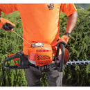 Muestra de imagen del partidor de partida del cortasetos van Beek.