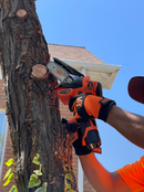 Trabajador de van Beek en Santiago, Chile poda un árbol con precisión y eficiencia utilizando una minisierra eléctrica vBSE4 van Beek naranja.