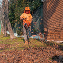 Sopladora van Beek Gasolina liviana de mano