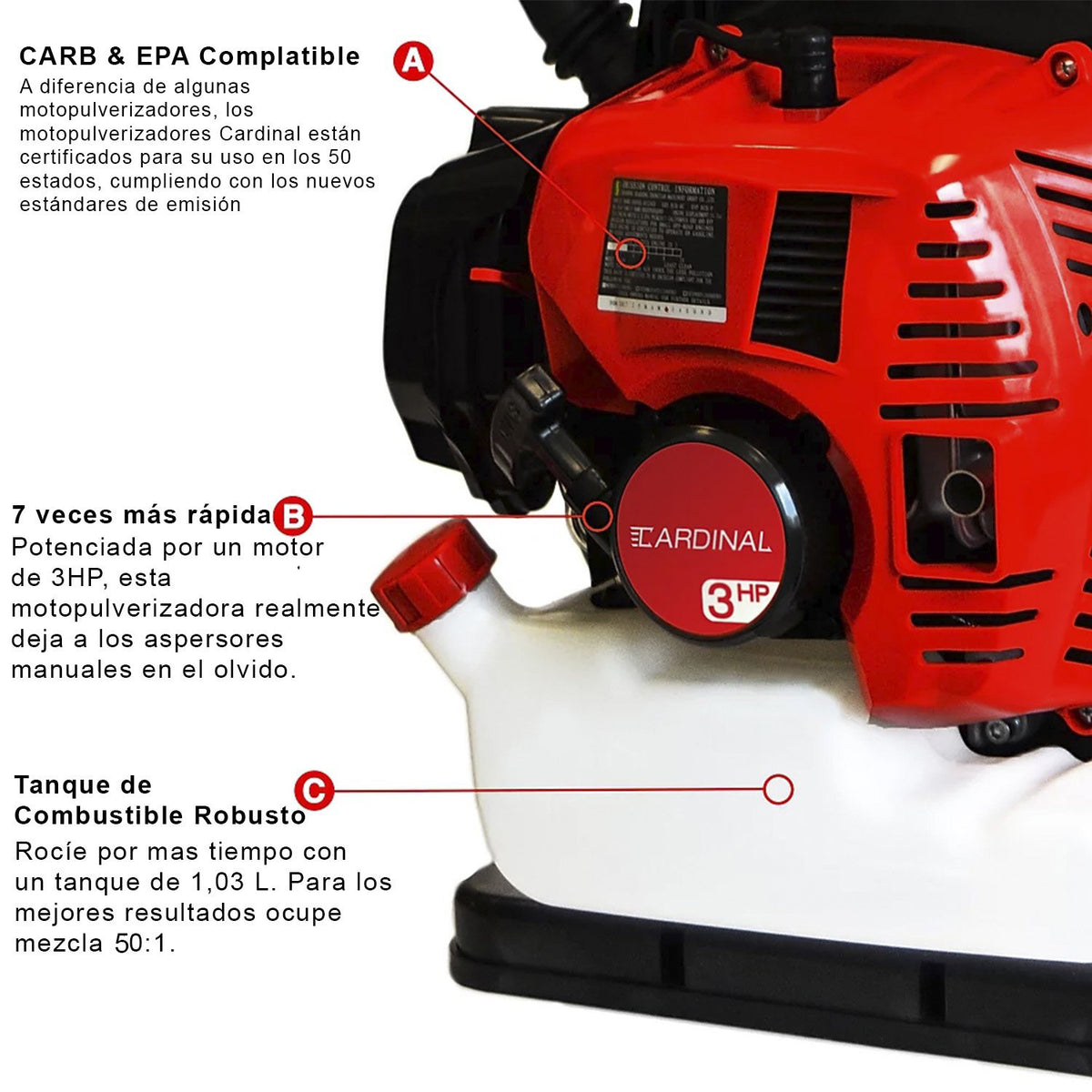 fumi cardinal-4_1200x.jpg?v=1587478275