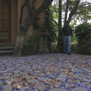 Sopladora Manual liviana de bajo nivel de ruido y sistema antivibración 1HP Modelo vB230E van Beek