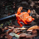 Sopladora Manual liviana de bajo nivel de ruido y sistema antivibración 1HP Modelo vB230E van Beek