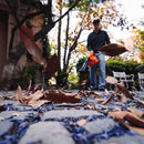 Sopladora Manual liviana de bajo nivel de ruido y sistema antivibración 1HP Modelo vB230E van Beek