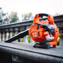 Sopladora Manual liviana de bajo nivel de ruido y sistema antivibración 1HP Modelo vB230E van Beek